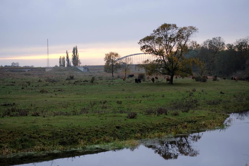 ethical sourcing of leather