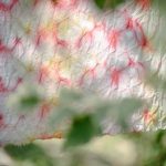 fabric not drying properly