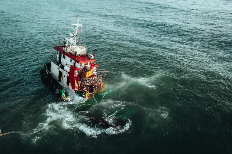 5 Tips for Sewing Marine Vinyl at Home Knowing Fabric