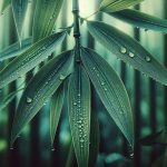 green slender bamboo leaves