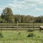 fleece versus wool warmth