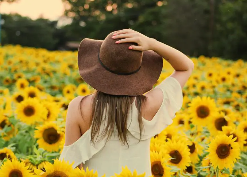 fashion s environmental creasing impact