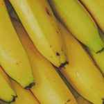 abaca versatile banana substitute