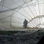 aeronautical kevlar parachute applications