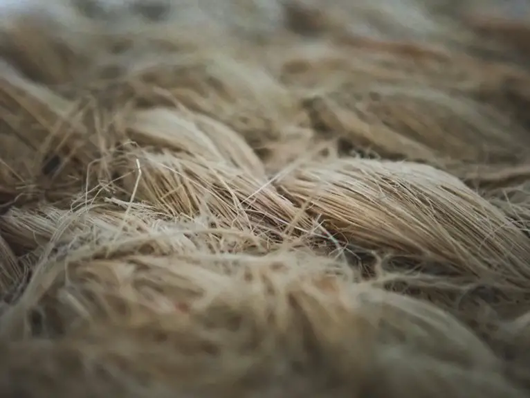 algae infused moisture management fabric