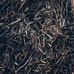 certifications promoting sustainable fibers