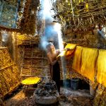 cruelty free silk production debate