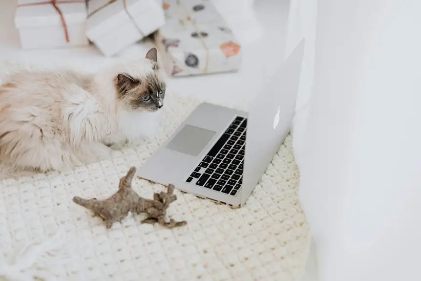 durable pet friendly upholstery fabric
