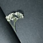 eliminating odor from paper