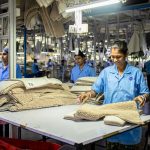 environmental impact of production