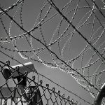 fabric fence scrims benefits