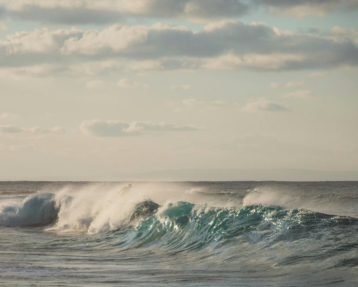 finding kona bay fabrics