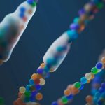 hairpin polyamides dna recognition