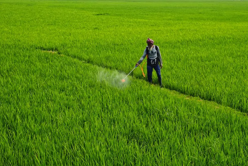 hemp cultivation s pesticide free potential