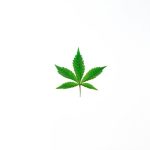 hemp fabric sustainability concerns