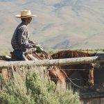 leather s environmental consequences revealed