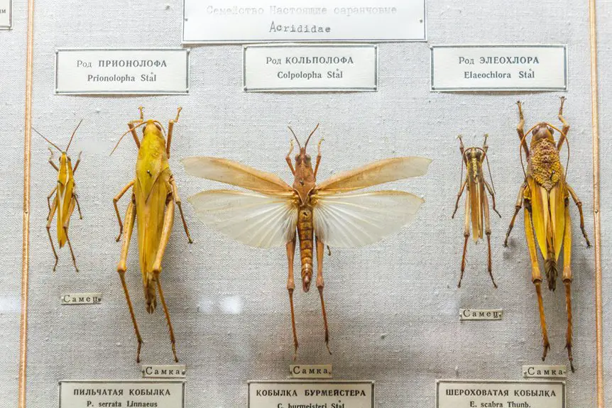 naturally insect repellent fabrics exist