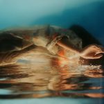nomex fabric water resistance explained