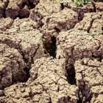 overgrazing harms land sustainability