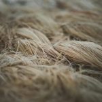 plant based cellulose fabric