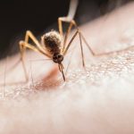 polyamide skin irritation explained