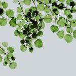 polycotton summer comfort assessment