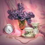 porcelain and print fabrics