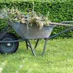 remove weeds before fabric