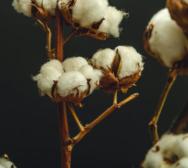 sustainability of fiber types