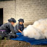 sustainable abaca fiber harvesting