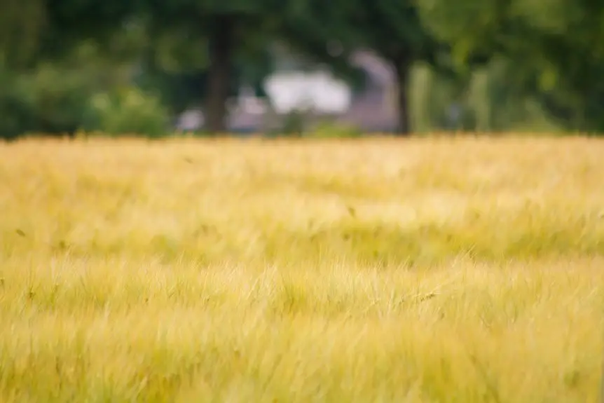 textile crops land use