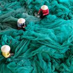 tropical sewing fabric guide