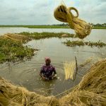 water use in agriculture