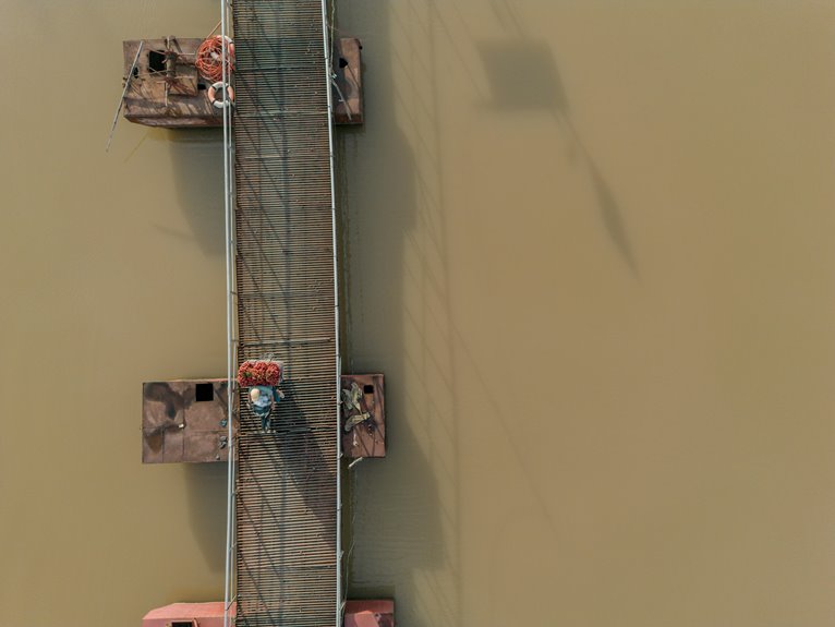 angora harvesting ethics debated