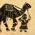 camel fabric sourcing explained