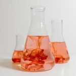 dyes adhesion to polyamides