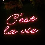 french phrase meaning explained