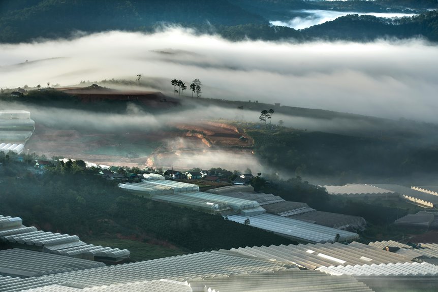 ironing percale sheets effectively