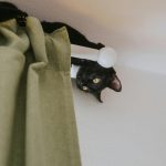 pet friendly upholstery fabrics