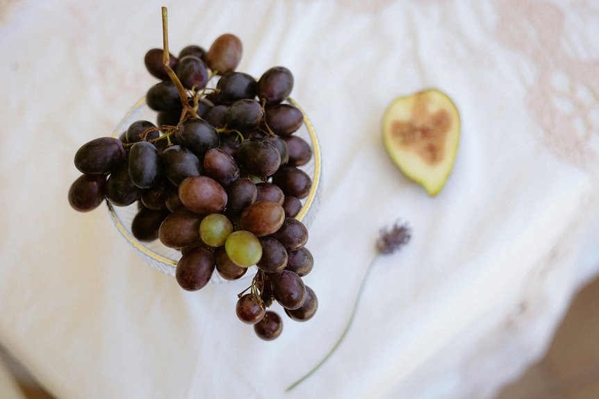 polyamide summer fabric suitability