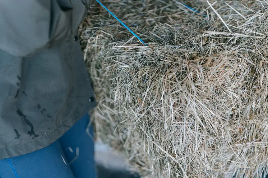 remove grease from gore tex