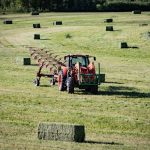 sustainable angora farming practices