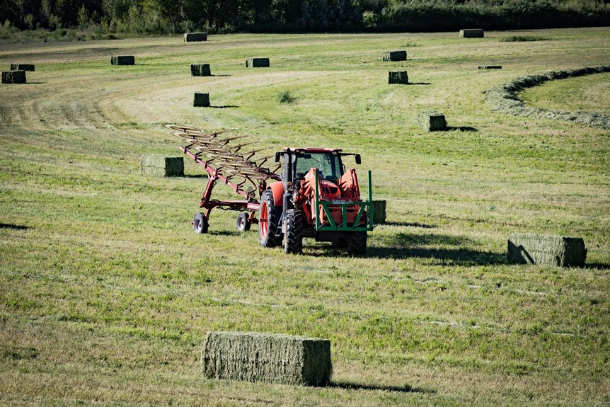 sustainable angora farming practices